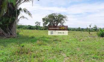 Imagem 4: Fazenda Extra no Município de Fazenda Nova ! 100 Alqueires !