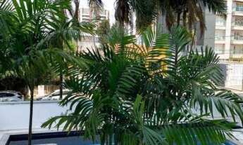 Imagem 7: Apartamento duplex para venda no Cambui, Campinas