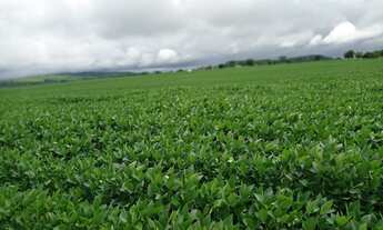 Imagem 2: 7 Alqueires na região de Hidrolândia-GO