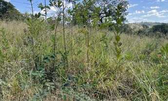 Imagem 5: LOTE LAGOA MANSOES