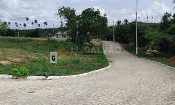 Imagem 5: São 10 lotes + 1 casa construída em um condomínio referência no conceito de natureza!