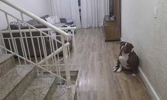 Imagem 3: CASA RESIDENCIAL em SANTO ANDRÉ - SP, VILA JUNQUEIRA