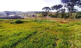 Imagem 4: Terreno Vederti 2