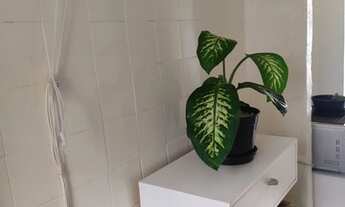 Imagem: Apartamento para venda possui 48 metros