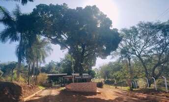 Imagem: Chácara em Condomínio 2000 metros quadrados