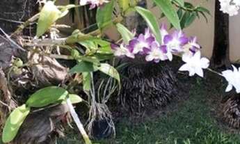 Imagem 3: Casa com 5 dormitórios à venda - Interlagos - Camaçari/BA