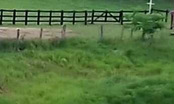 Imagem 3: Fazenda/Sítio/Chácara para venda possui 30000 metros quadrados com 2 quartos