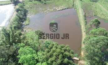 Imagem 3: Sítio com 3,8h, casa, galpão e açudes em Triunfo - Aceito casa em Canoas ou Montenegro