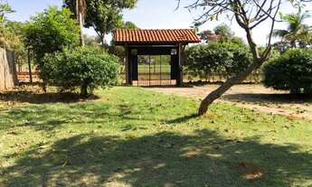 Imagem 6: Chácara Imperdível de 5000m2, atrás da Frutilla