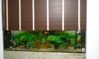 Imagem 7: SOBRADO - BELA VISTA