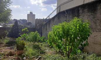 Imagem 4: Lote/Terreno para venda tem 262 metros quadrados em Jardim Virginia Bianca - São Paulo - S