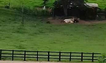 Imagem 4: Fazenda/Sítio/Chácara para venda possui 30000 metros quadrados com 2 quartos