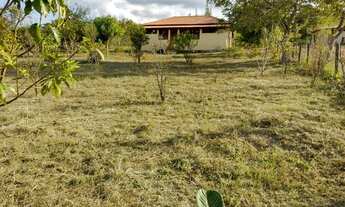 Imagem 2: Chácara 33.000 m2 Municipio São Miguel do Passa Quatro GO
