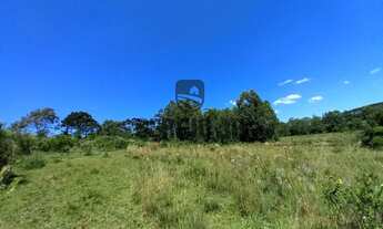 Imagem 5: Sítio com 3,8h, casa, galpão e açudes em Triunfo - Aceito casa em Canoas ou Montenegro