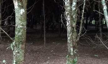 Imagem 5: Terrenos (4), 9.243 m², Condomínio p/ represa, topogr. mista, com rua, 6 km do centro Mair