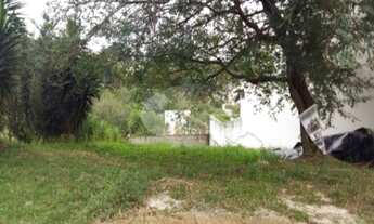 Imagem 4: Lote/Terreno para venda possui 500 metros quadrados em Bairro das Palmeiras - Campinas - S