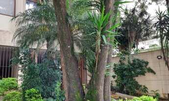 Imagem 3: ÓTIMO APARTAMENTO PARA LOCAÇÃO