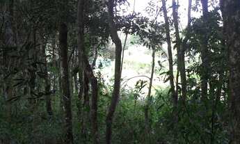 Imagem 3: Terreno Maravilhoso com Vista dos Sonhos!