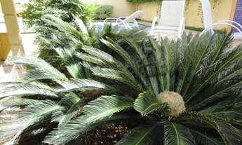 Imagem 3: Campinas - Casa Padrão - Alphaville