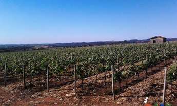 Imagem 7: Indaiatuba Terreno / lote com venda por R$50.000.000