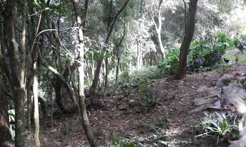 Imagem 5: Terreno Maravilhoso com Vista dos Sonhos!