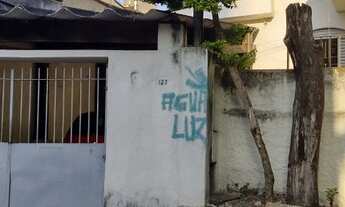 Imagem 2: Térrea para venda no Jardim Maria Duarte - São Paulo - SP