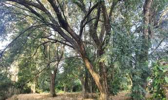 Imagem 6: Lote/Terreno para venda com 3360 metros quadrados em Vale Verde - Valinhos - SP