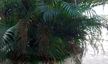 Imagem 6: Casa com 4 dormitórios à venda, 320 m² por R$ 1.593.000,00 - Jardim Esplanada - São José d