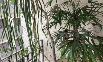 Imagem 6: Apartamento Venda 2 Dormitórios - 80 m² Vila Olímpia