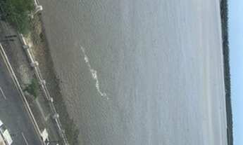 Imagem 6: Sala Galpão / depósito com venda por R$55.000