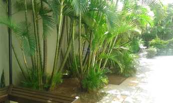 Imagem 7: Apartamento em Jardim Celeste - São Paulo