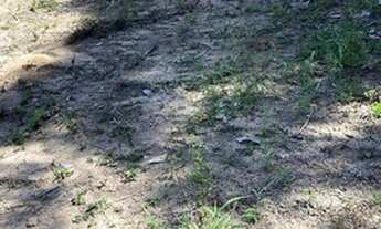 Imagem 5: Chácara por apenas R$300.000,00