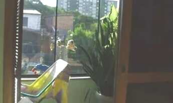 Imagem 7: Casa à venda Rua Ibanez André Pitthan Souza, Jardim Sabará - Porto Alegre