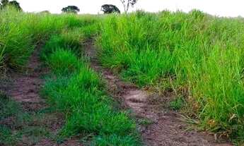 Imagem 3: Lotes de 500m² Terreno / lote com venda por R$60.000