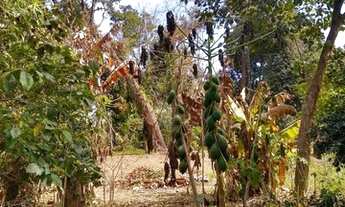 Imagem 6: Terreno - Chacara Recreio Danubio Azul - Holambra