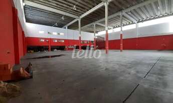 Imagem 4: São Paulo - Galpão/Depósito/Armazém - Vila Matilde