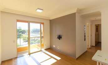 Imagem 6: Apartamento para Aluguel - Jardim Planalto, 3 Quartos, 77 m2