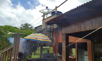 Imagem 5: Vendo terreno no Pindobal