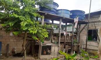 Imagem 2: Casas Casa com 3 dormitórios