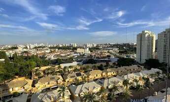 Imagem 5: APARTAMENTO - JARDIM SÃO CAETANO - SP