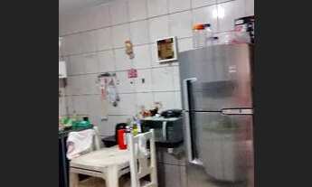 Imagem 2: Performers importados