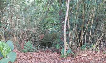 Imagem 6: Belíssima casa as margens do rio manpituba