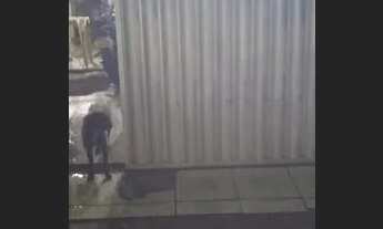 Imagem 5: Alugo casa na tamarineira