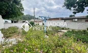 Imagem 4: ESTEIO - Casa Padrão - São José