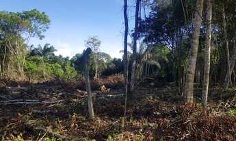 Imagem 3: Terreno Plano 4800m² para Sítio no Km26 da AM 070 (Manoel Urbano