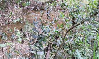 Imagem 3: Fazenda para venda em brumadinho divisa com Bonfim