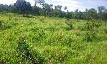 Imagem 6: Chácara 1.800m² 100% plana, toda terra de plantio, Jaboticatubas (Temos varias opções)