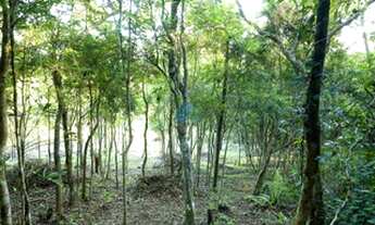 Imagem 2: Amplo Terreno Localizado na Praia do Siriú, em Garopaba, com Linda Vista p/ Mar
