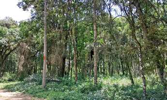 Imagem 5: Vendo chácara 7.200 metros no Campo Largo da Roseira