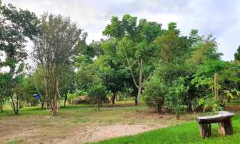 Imagem 5: Sitio em santa cruz da esperança 10.4 hectares 2.500.000.00 ( d